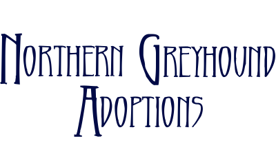 Northern Greyhound Adoptions