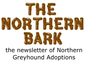 Northern Bark - Newsletter